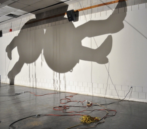 Nancy Davidson, Dustup, (shadow), 2012